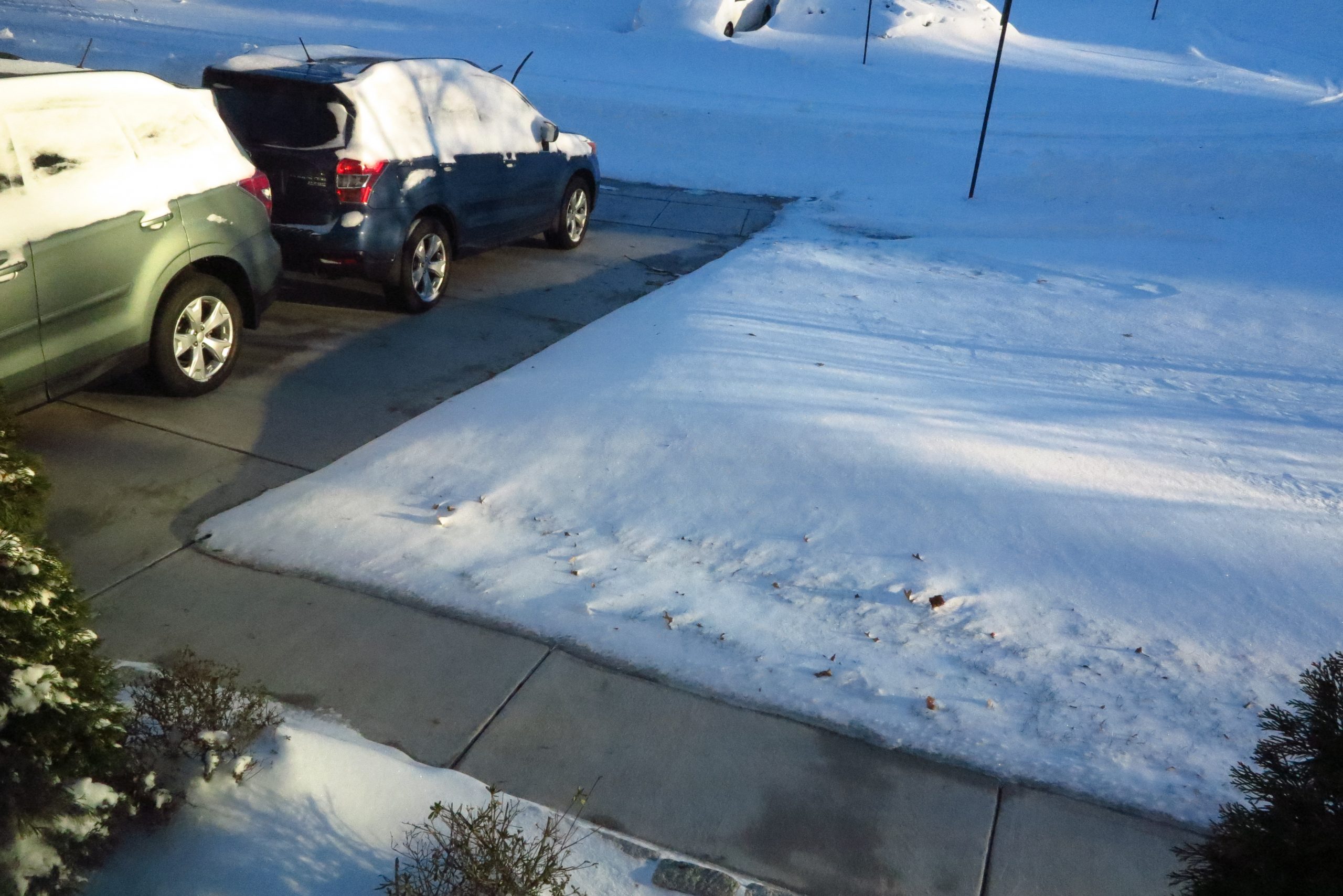 snowy driveway with melted path