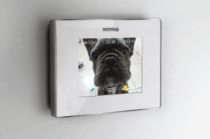 Horizontal 4iE Programmable Thermostat.