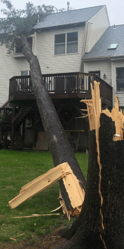 Damaged home renovated with UFH