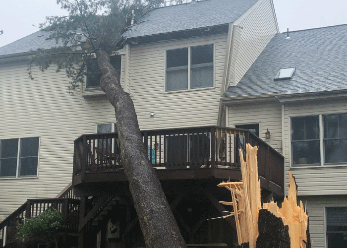 house with fallen tree damage