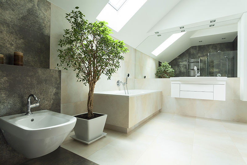 modern bathroom with plant