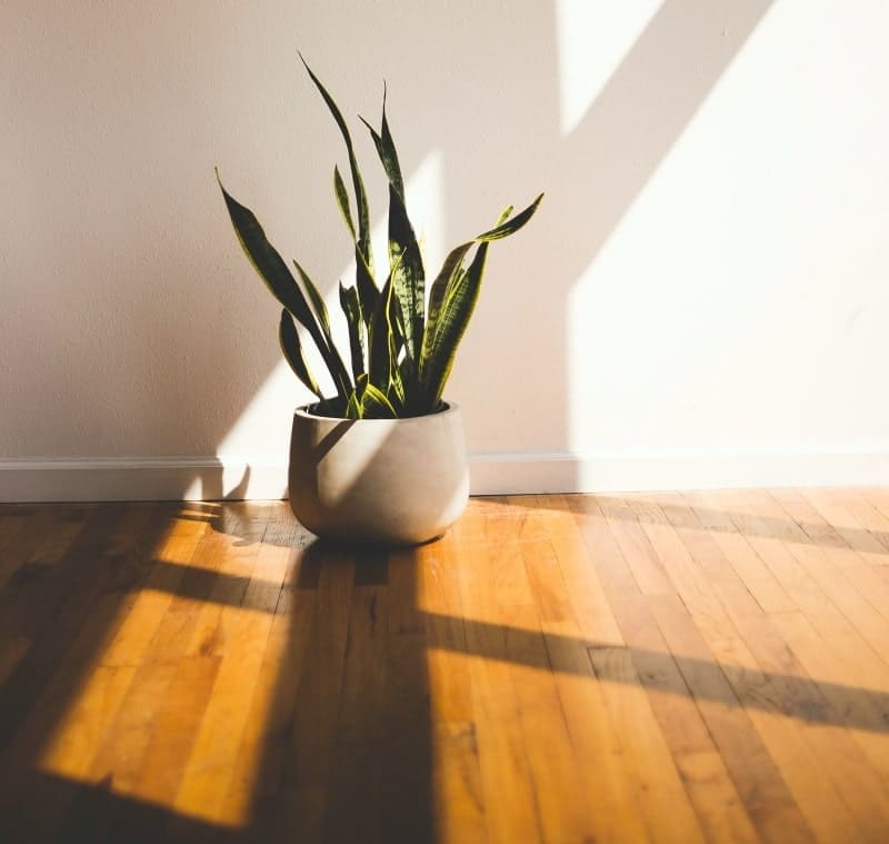 Hardwood floor with underfloor heating.