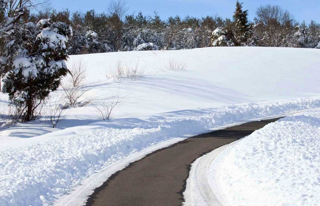 Heated sidewalk in a park surrounded by snow and trees.